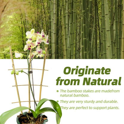 10 Pack Bamboo Trellis for Climbing Plants, 16 Inch Natural Garden Fan-shaped Plant Support Bracket,