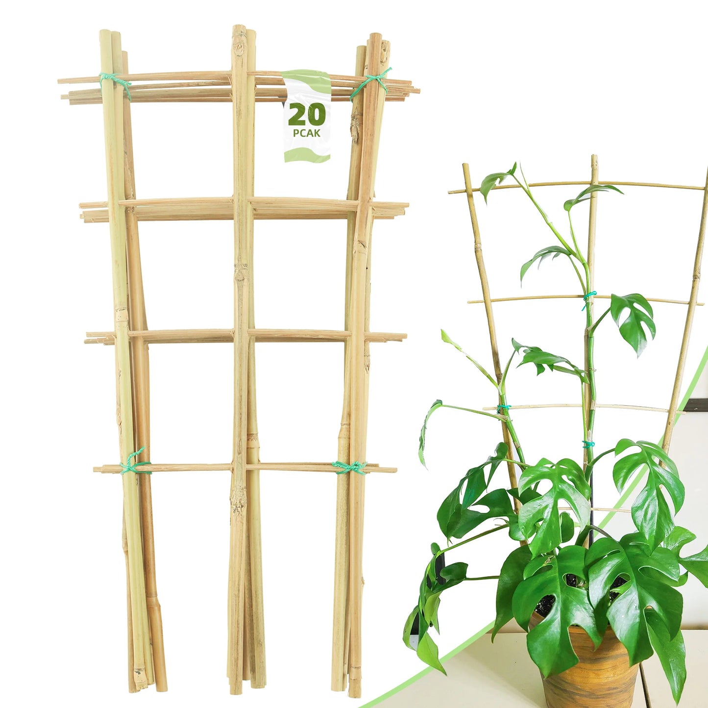 10 Pack Bamboo Trellis for Climbing Plants, 16 Inch Natural Garden Fan-shaped Plant Support Bracket,