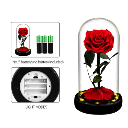 Forever Preserved Real Rose in Glass with LED Light Eternal Flower Gifts for Mother's Day