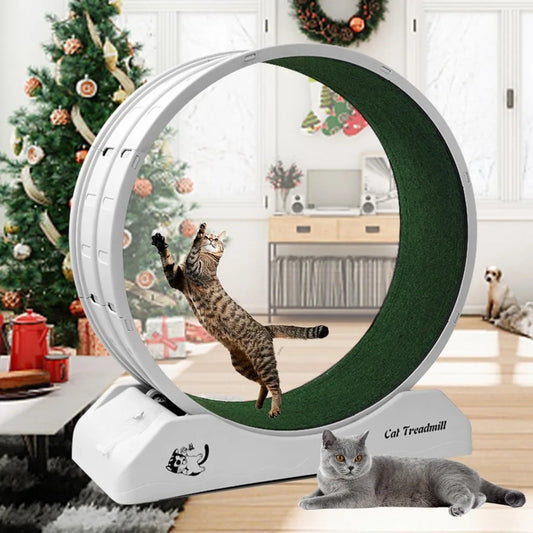 Cat Treadmill Wheel Exerciser for Kitty’s Longer Life Cat Running Wheel with Carpeted Runway