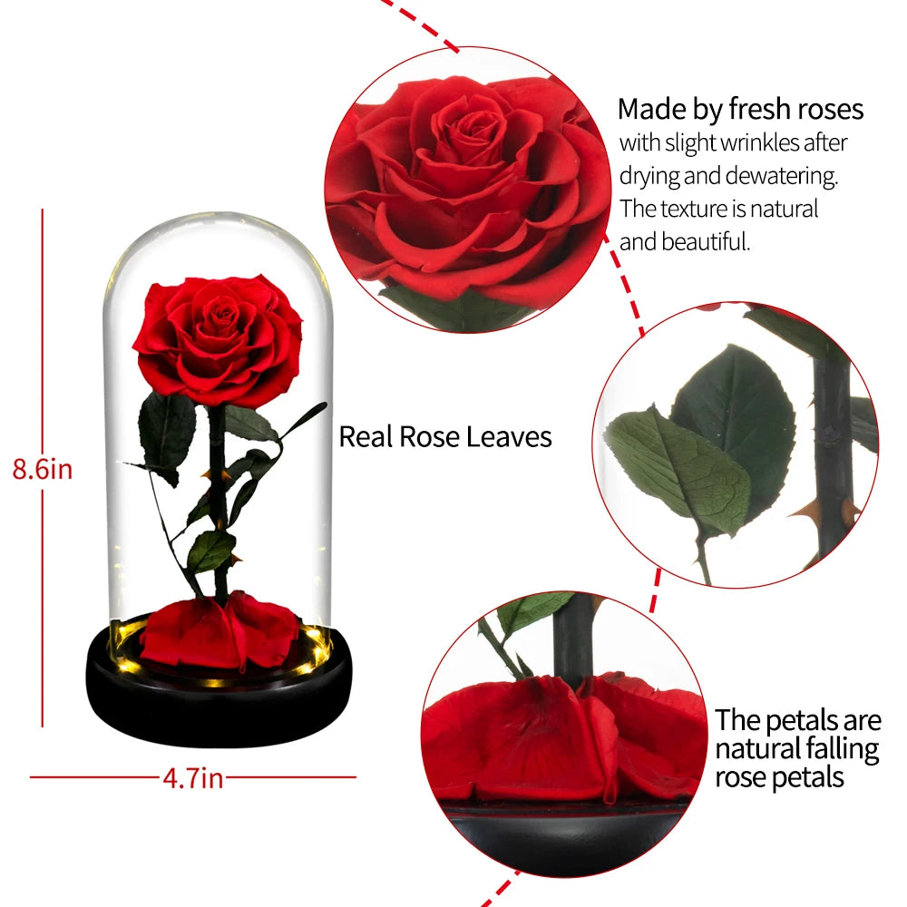 Forever Preserved Real Rose in Glass with LED Light Eternal Flower Gifts for Mother's Day