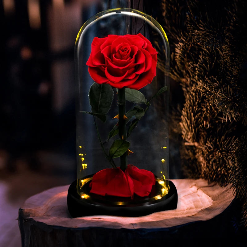 Forever Preserved Real Rose in Glass with LED Light Eternal Flower Gifts for Mother's Day