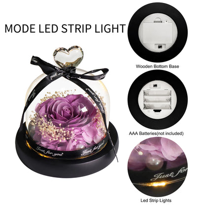 Purple Soap Rose in Glass Dome Artificial Flower With Light for Birthday, Valentines, Anniversary Gifts